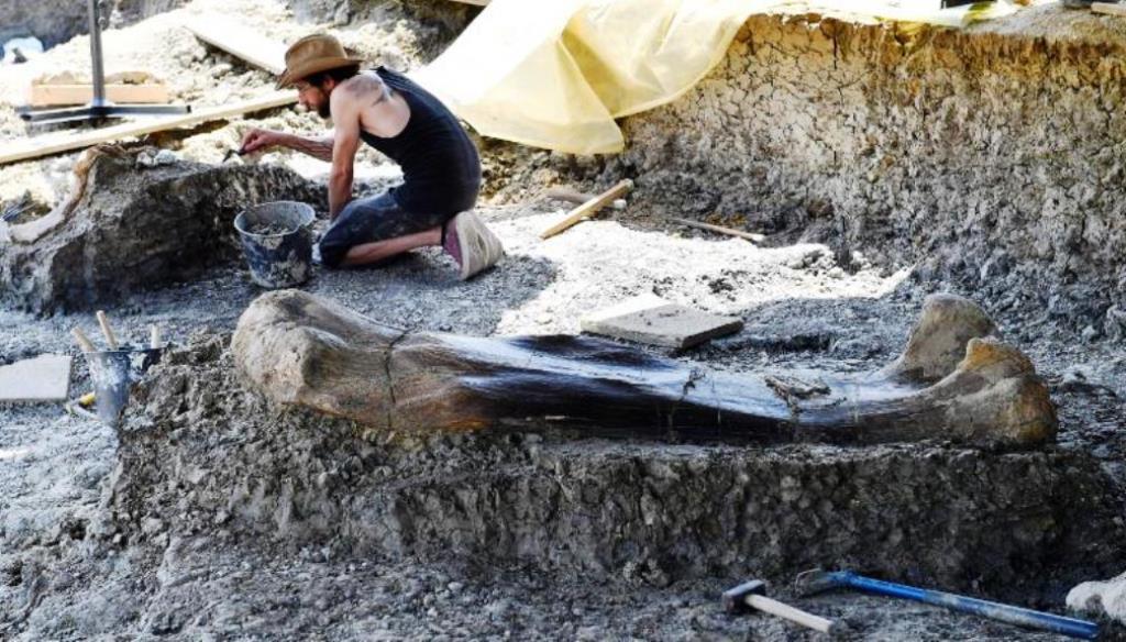 Para ilmuwan menemukan tulang paha dinosaurus raksasa di Prancis