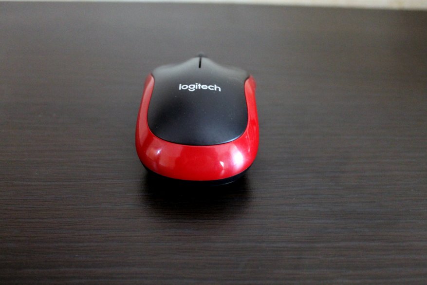 Logitech Wireless Mouse M185: tikus yang sempurna untuk bekerja 6