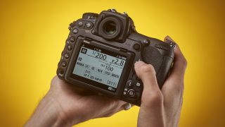 Máy ảnh DSLR tốt nhất năm 2019: 10 máy ảnh tuyệt vời cho mọi túi 14