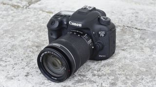 Máy ảnh DSLR tốt nhất 2019: 10 máy ảnh tuyệt vời cho mọi túi 44