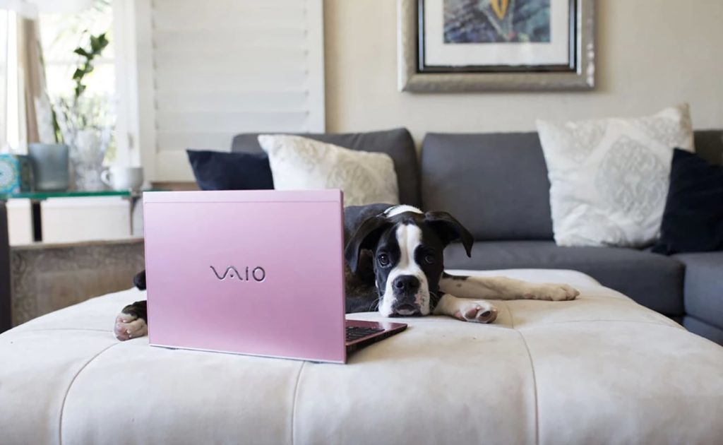 Laptop Ultracompact VAIO SX12