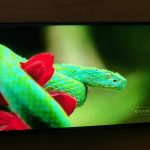 Kiểm tra LG V30 + 6"aria-showsby =" gallery-10-69313