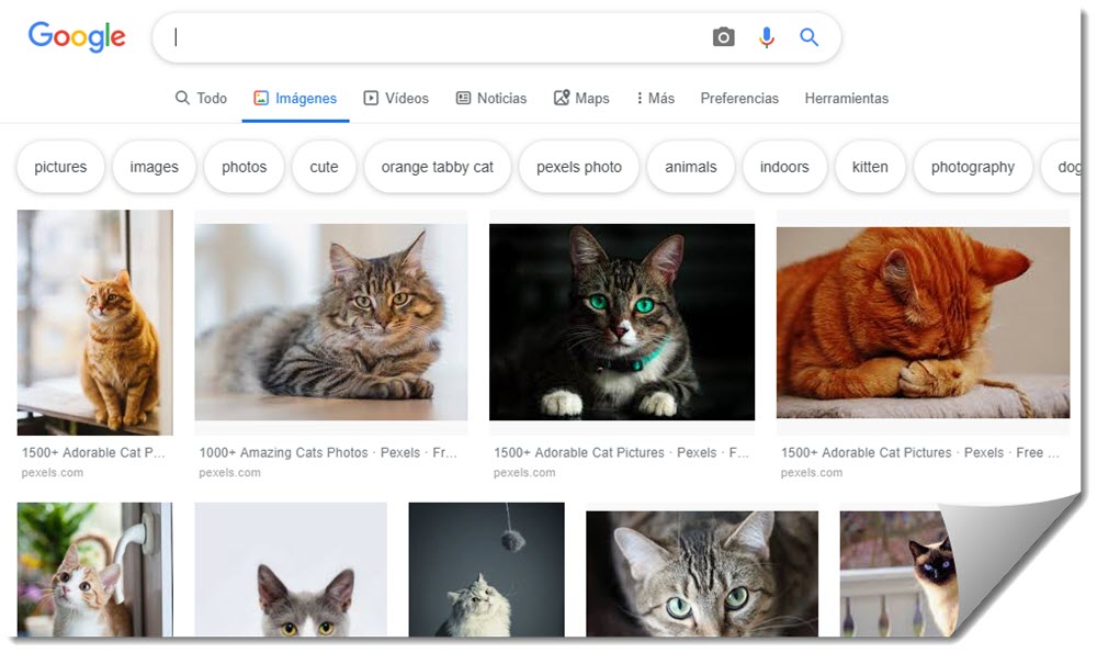 Cara mencari gambar tanpa hak cipta di Google