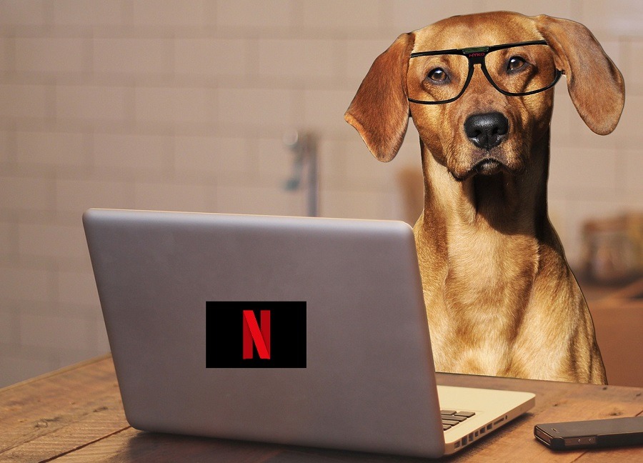 Cara menghapus 'Lanjutkan menonton' dari daftar Netflix Anda