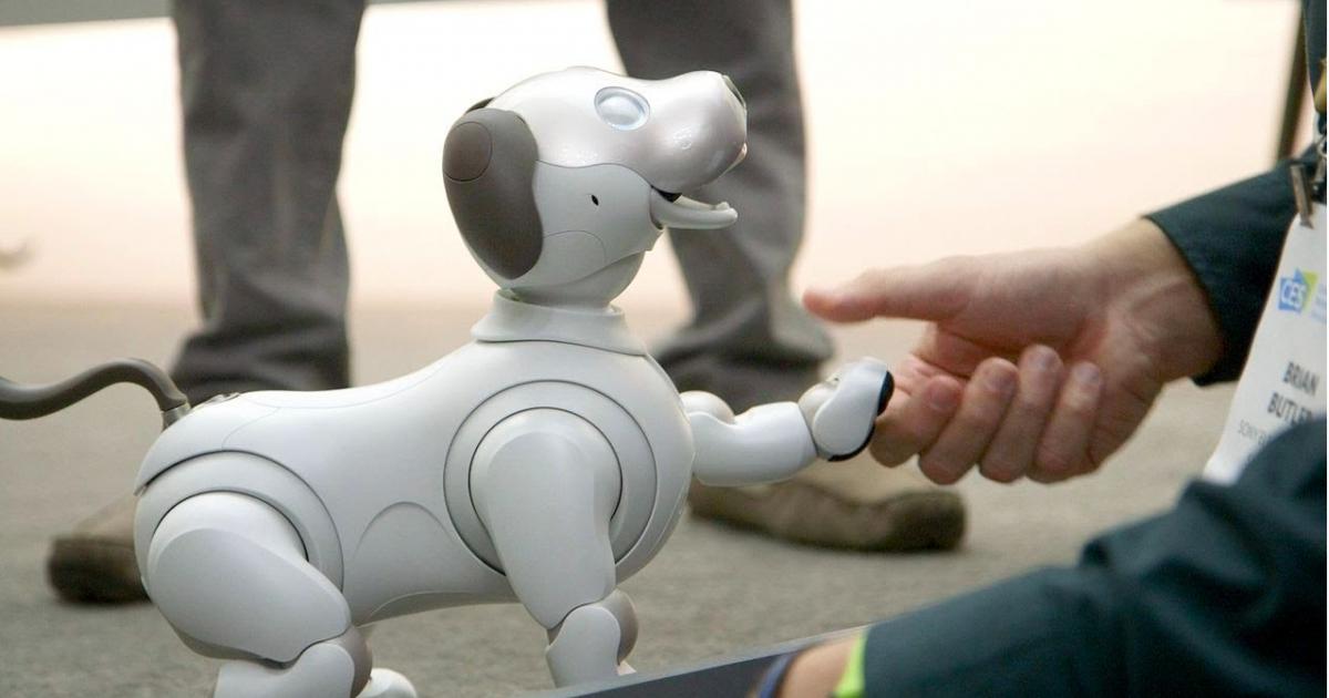 Sony akan merilis anjing robot bernama Aibo pada bulan September, akan menelan biaya $ 2.899