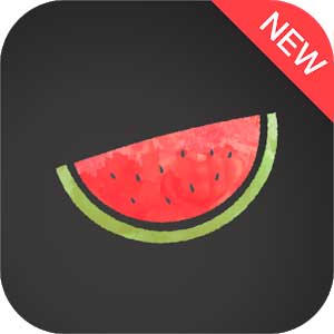 Melon VPN APK v3.6.300
