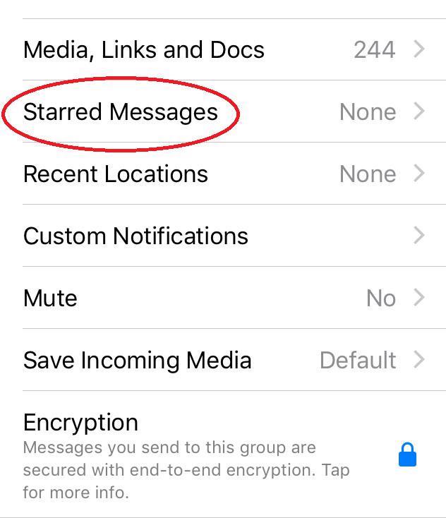 Dari menghindari kutu biru hingga membersihkan memori, 16 tips WhatsApp ini akan mengubah cara Anda menggunakan aplikasi selamanya 4
