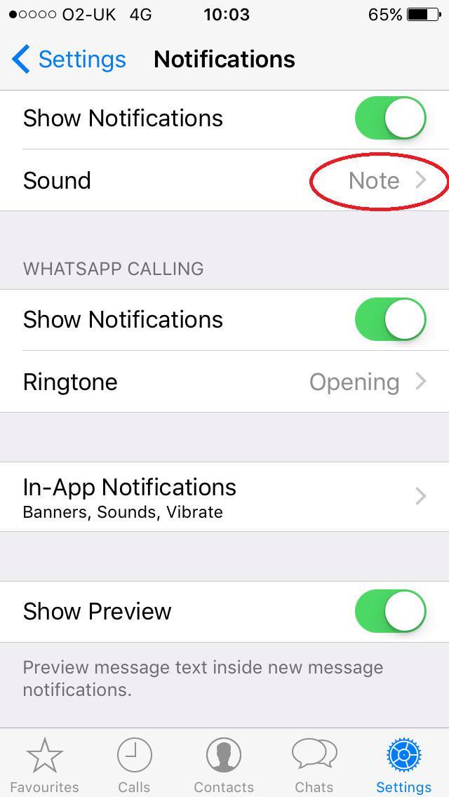 Dari menghindari kutu biru hingga membersihkan memori, 16 tips WhatsApp ini akan mengubah cara Anda menggunakan aplikasi selamanya 6