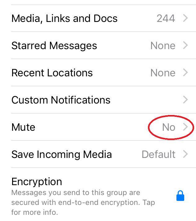 Dari menghindari kutu biru hingga membersihkan memori, 16 tips WhatsApp ini akan mengubah cara Anda menggunakan aplikasi selamanya 7