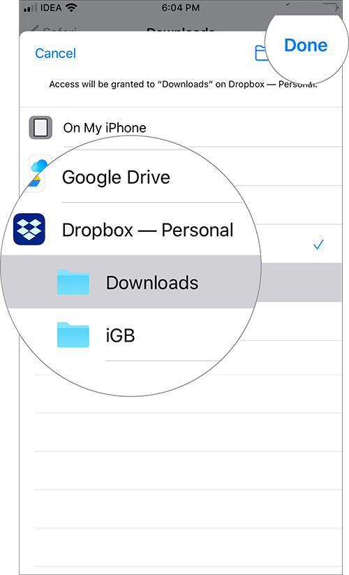 Pilih layanan penyimpanan pihak ketiga mana pun untuk Menyimpan File Unduhan Safari di iPhone