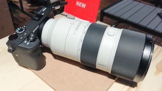 Sony A6600. Recension