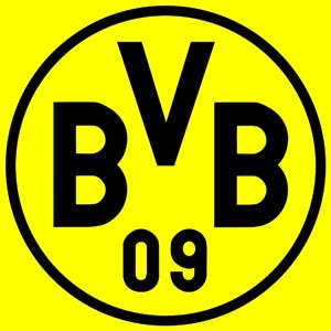 Borussia Dortmund Shield DLS