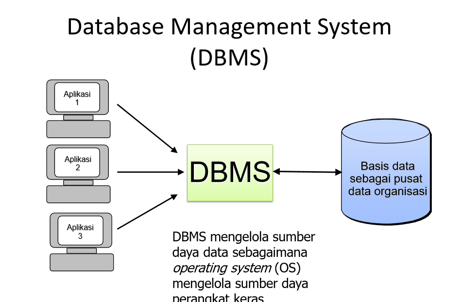 8 Contoh Aplikasi DBMS yang Banyak Digunakan Beserta Kelebihannya