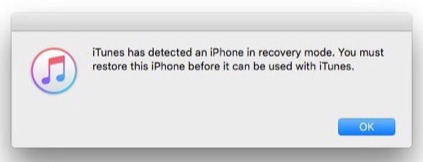 iTunes telah mendeteksi iPhone dalam mode pemulihan