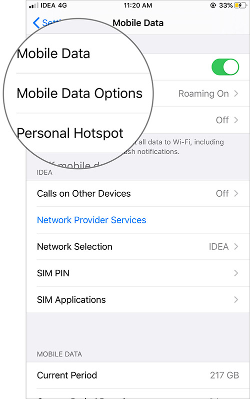 Ketuk Opsi Data Seluler di iOS 13 Pengaturan Data Seluler