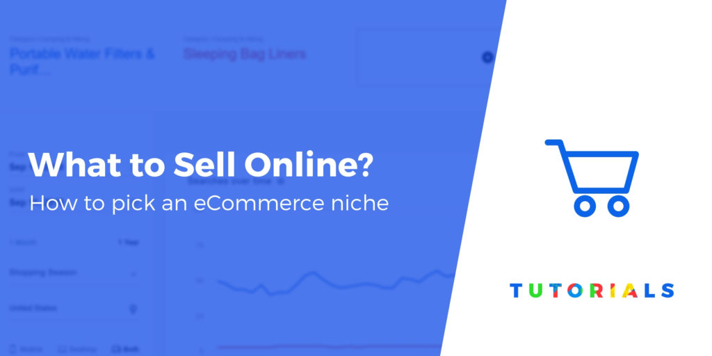 Apa yang Dijual Online? 5 Langkah untuk Memilih Niche eCommerce yang Sempurna