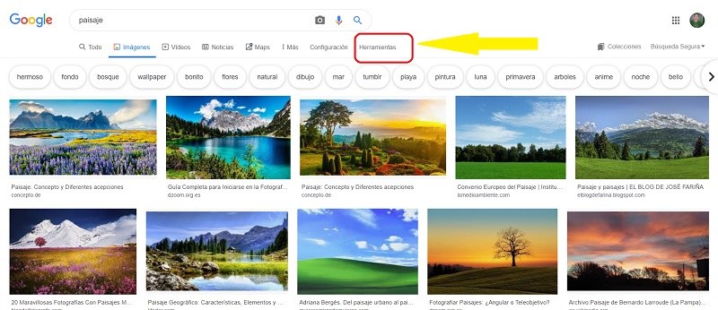 Cara mencari gambar berwarna menggunakan Google Images 1