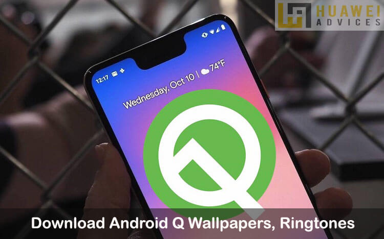 Wallpaper Android Q nada dering