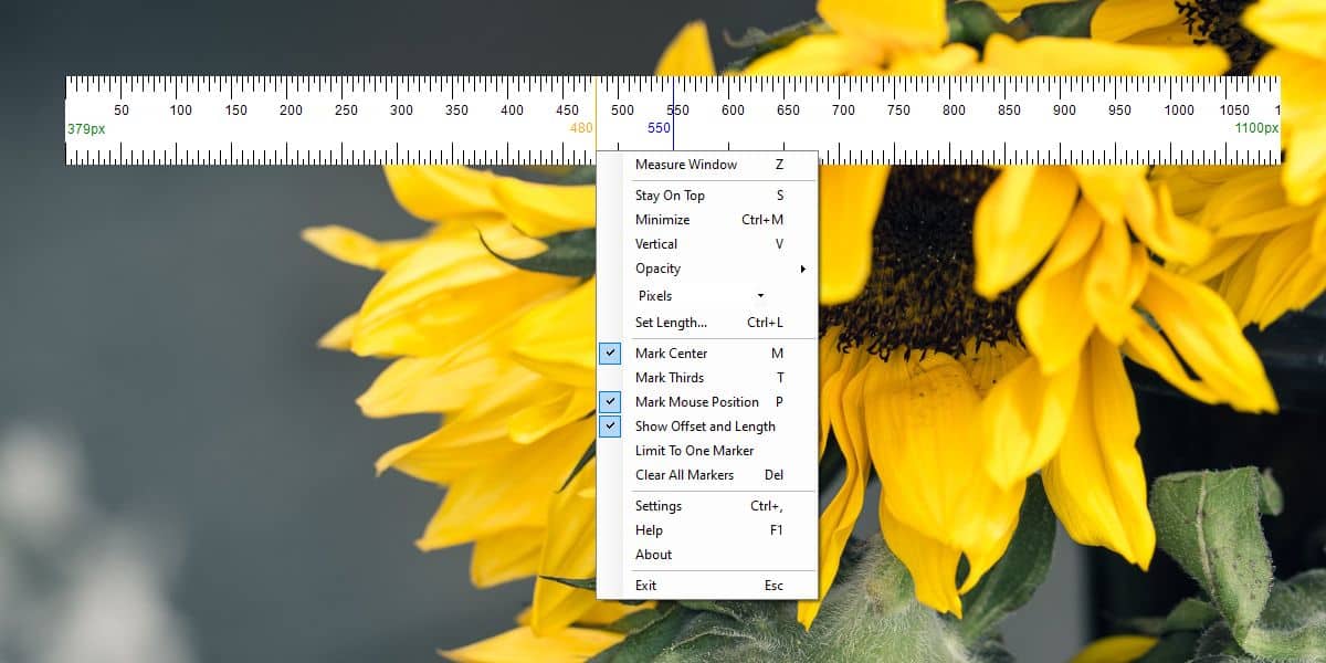 How to add a ruler to the screen on Windows 10 1
