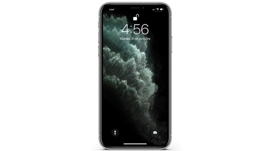 iPhone 11 Pro Max Face ID