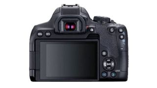 Canon EOS 850D / Rebel T8i DSLR 2 характеристики и изображения показали