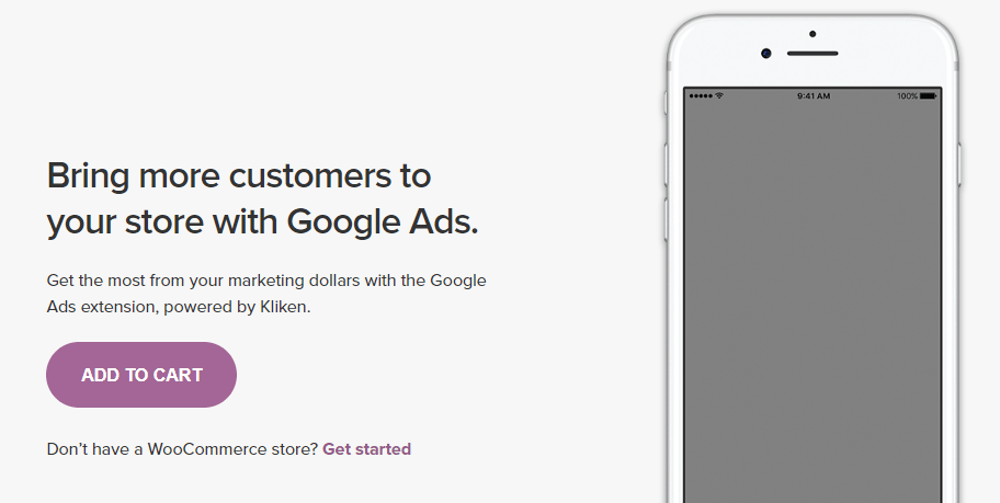 Ekstensi Google Ads for WooCommerce.