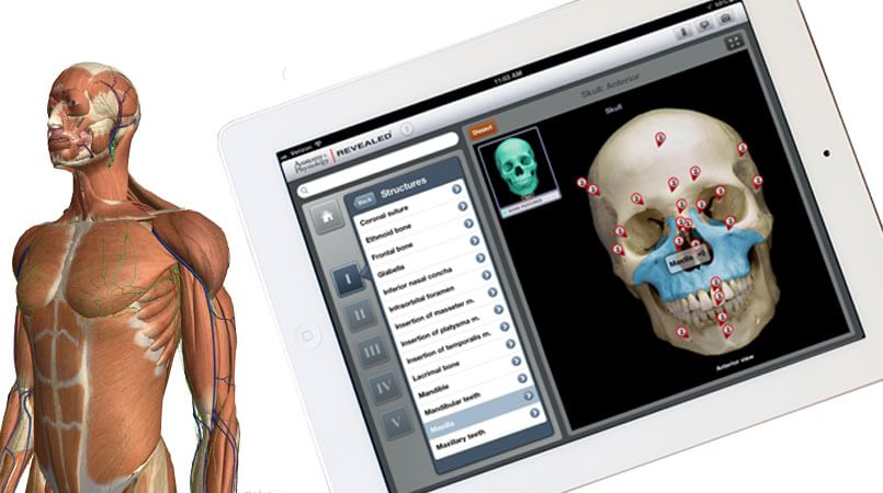 Aplikasi Android untuk Mempelajari Anatomi Manusia