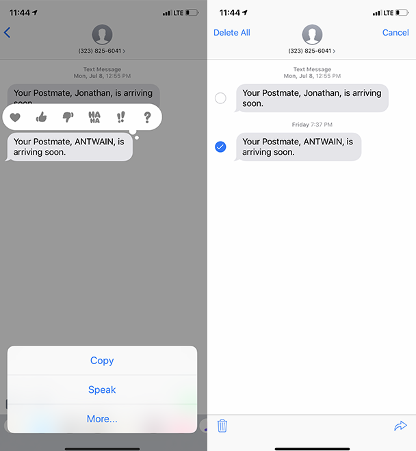 Cara menghapus masing-masing teks di iPhone