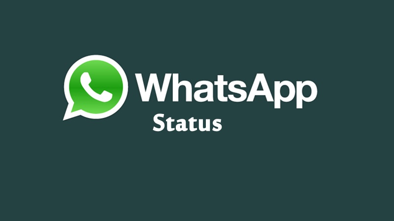 Lima Trik Status WhatsApp yang Perlu Anda Ketahui