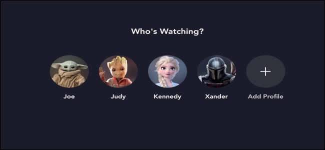 Disney + Who's Watching