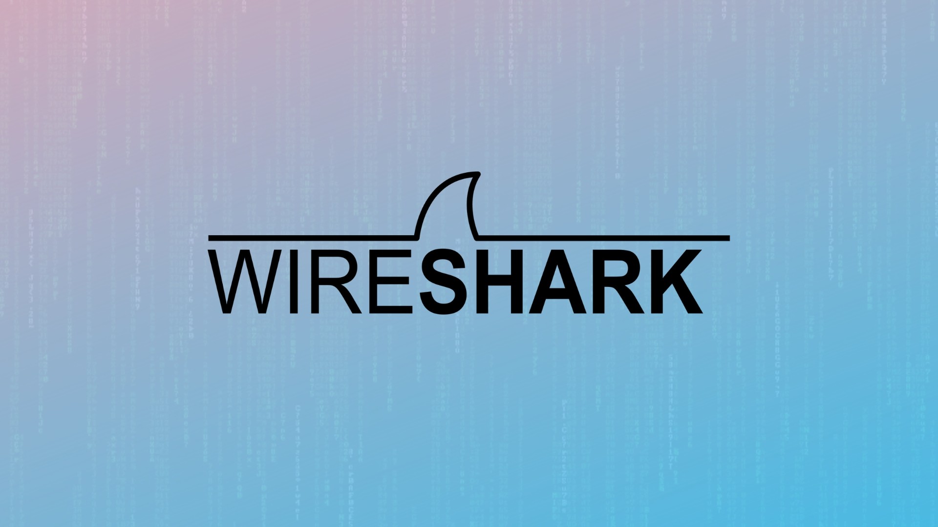 Kenali Pengertian Wireshark Beserta Fungsi dan Cara kerjanya, Lengkap!
