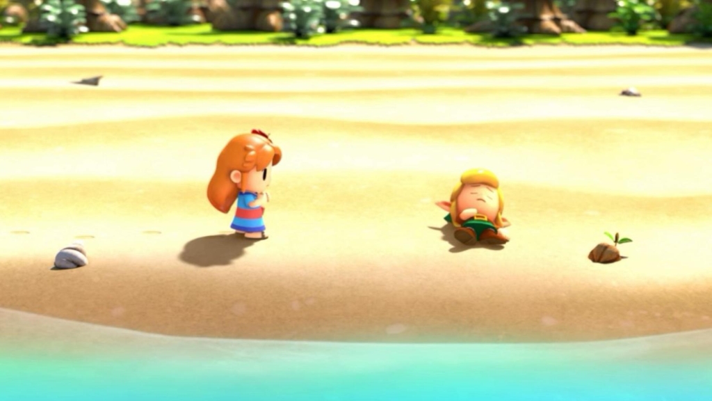 Марин ја пронајде и спаси Линк на плажа, по урнатините