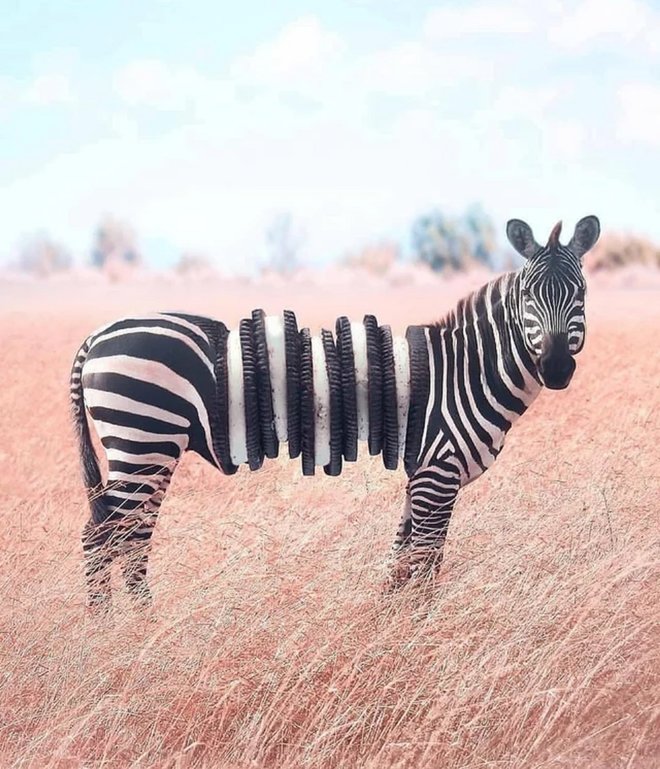 Hewan-hewan baru yang gila membayangkan dengan kekuatan Photoshop 32