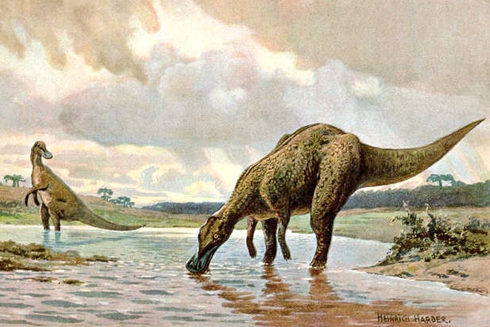 Kanker manusia yang jarang ditemukan pada fosil dinosaurus