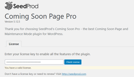 Masukkan kunci lisensi Anda pada halaman pengaturan SeedProd Coming Soon Pro