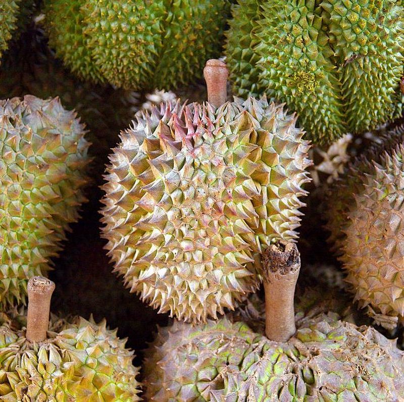 Baterai Ponsel Anda Berikutnya Dapat Dibuat Dari Durian 2