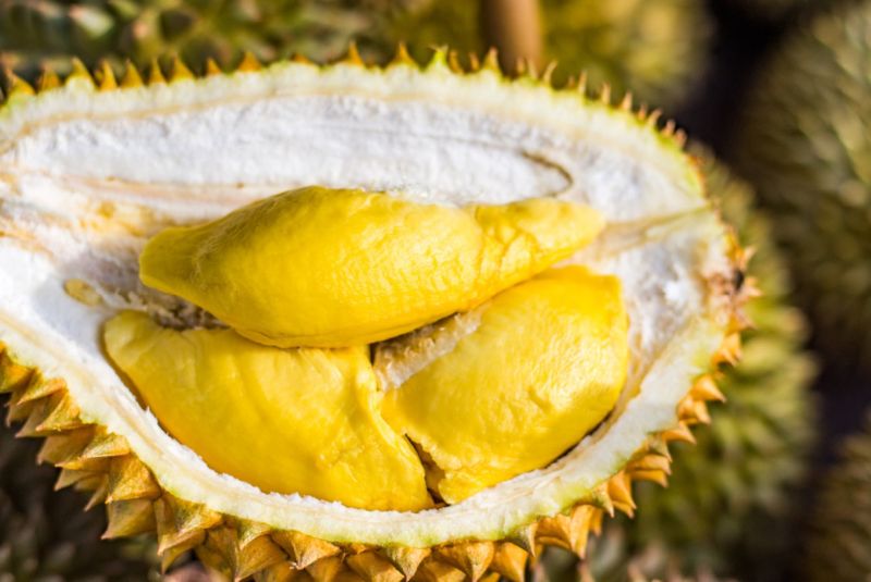 Baterai Ponsel Anda Berikutnya Dapat Dibuat Dari Durian