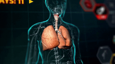 Bio Inc. Nemesis, simulator malpraktek medis, melakukan cacing di iOS dan Android pada 26 Februari 2