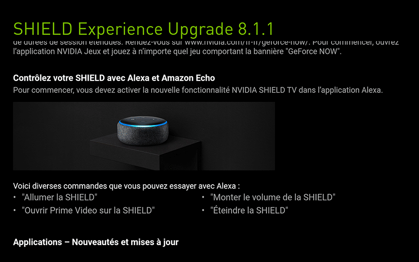 Nvidia Shield 2019 TV 8.1.1