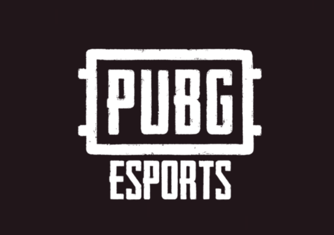 🥇 ▷ PUBG Corp mengungkapkan rencana esports untuk tahun 2020, termasuk PUBG Global Championship 1