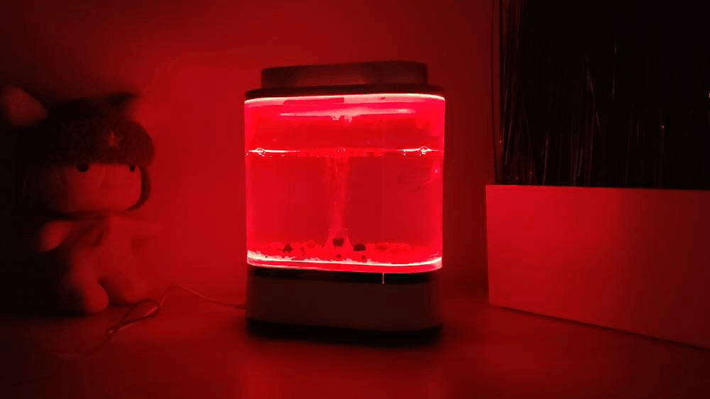 Revisión de Xiaomi Geometry Mini Lazy Fish Tank: diseño de acuario para su mesa 2