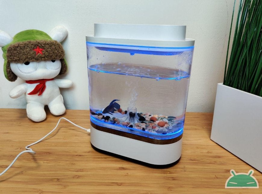 Ulasan Xiaomi Geometry Mini Lazy Fish Tank: akuarium desain untuk meja Anda 3