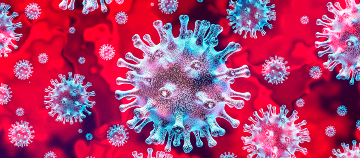 Kementerian Kesehatan meluncurkan aplikasi dengan informasi yang relevan tentang coronavirus baru 2